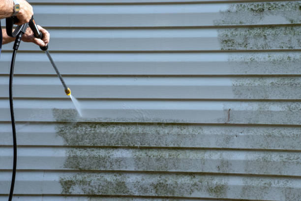 Shed Removal in Huntington Beach, CA